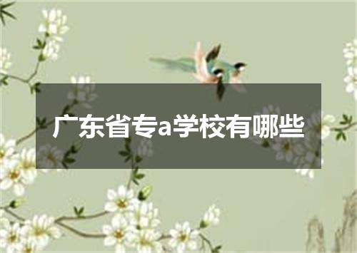 广东省专a学校有哪些