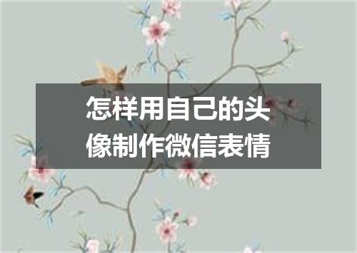 怎样用自己的头像制作微信表情