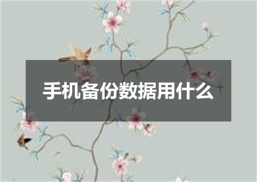 手机备份数据用什么