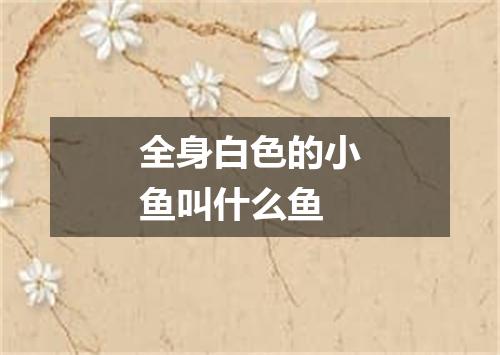 全身白色的小鱼叫什么鱼