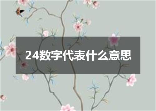 24数字代表什么意思