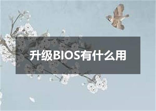 升级BIOS有什么用
