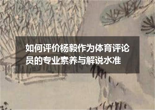 如何评价杨毅作为体育评论员的专业素养与解说水准