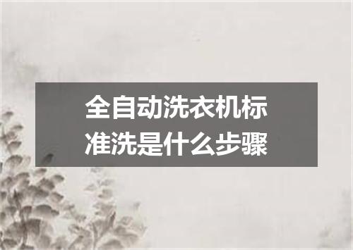 全自动洗衣机标准洗是什么步骤