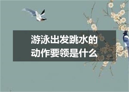 游泳出发跳水的动作要领是什么