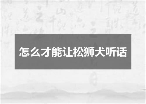 怎么才能让松狮犬听话