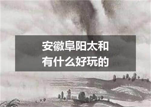 安徽阜阳太和有什么好玩的