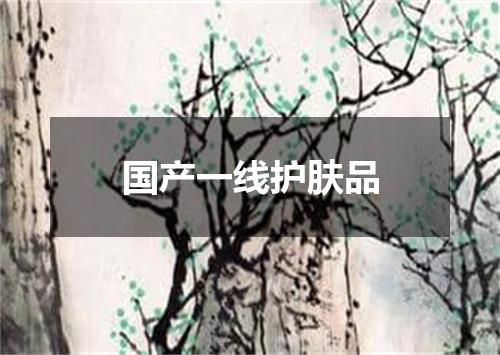 国产一线护肤品