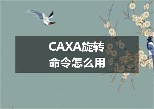 CAXA旋转命令怎么用