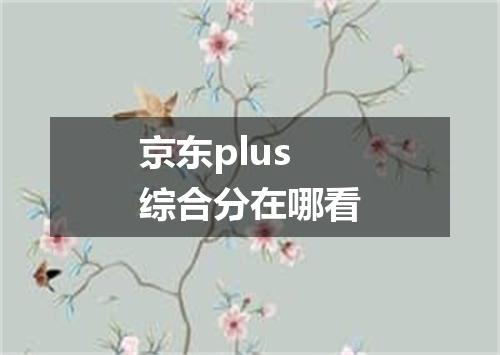 京东plus综合分在哪看