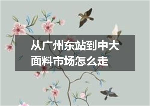 从广州东站到中大面料市场怎么走