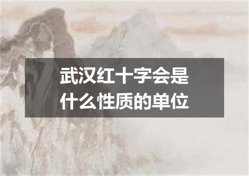 武汉红十字会是什么性质的单位