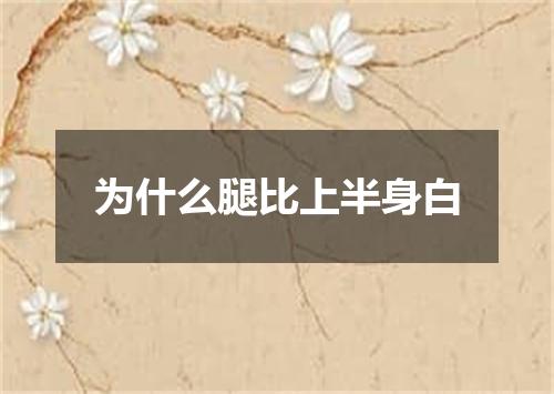 为什么腿比上半身白