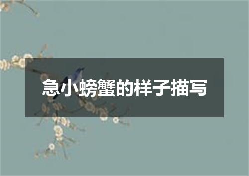 急小螃蟹的样子描写