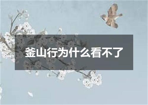 釜山行为什么看不了