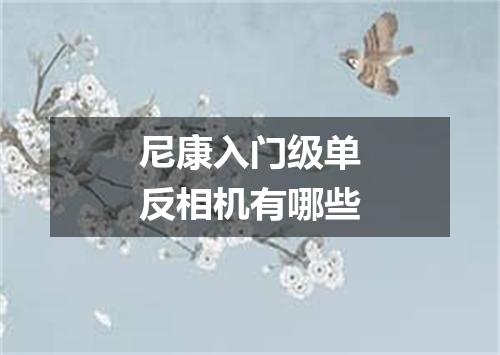 尼康入门级单反相机有哪些