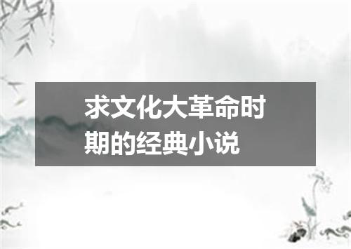 求文化大革命时期的经典小说