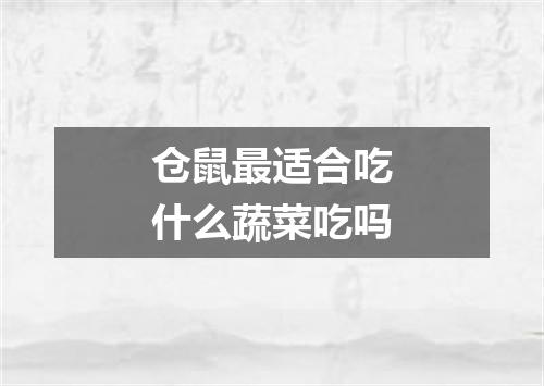 仓鼠最适合吃什么蔬菜吃吗