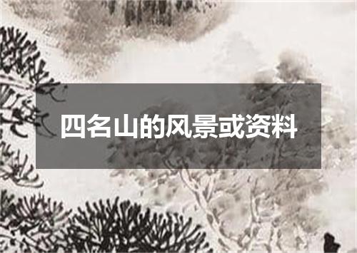 四名山的风景或资料