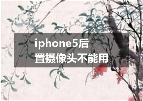 iphone5后置摄像头不能用