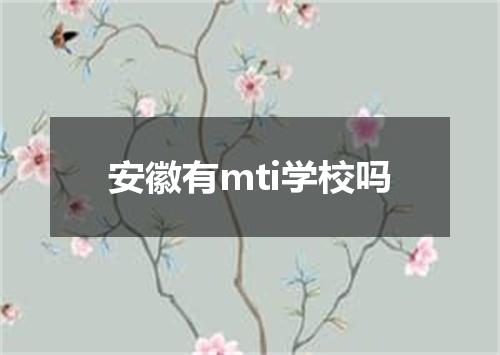 安徽有mti学校吗