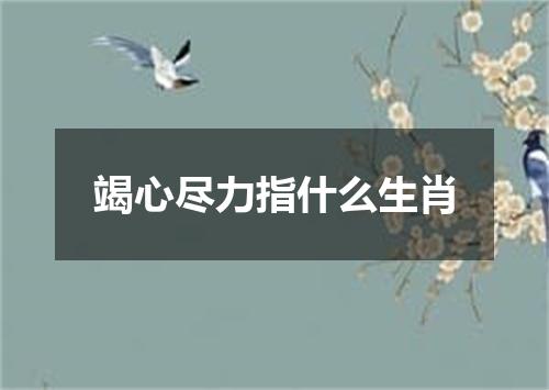 竭心尽力指什么生肖