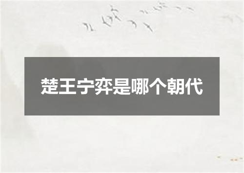 楚王宁弈是哪个朝代