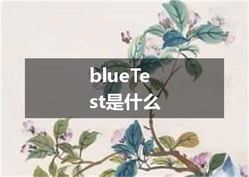 blueTest是什么