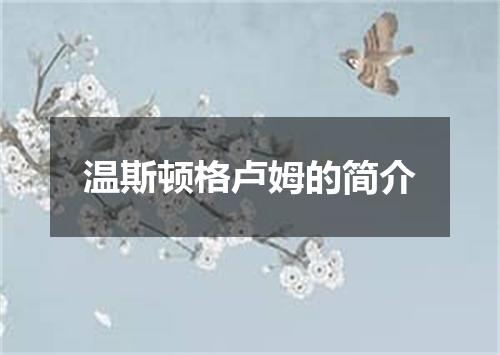 温斯顿格卢姆的简介