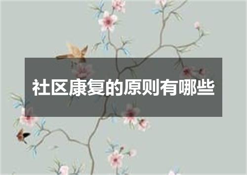 社区康复的原则有哪些