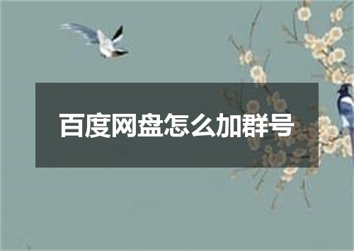百度网盘怎么加群号