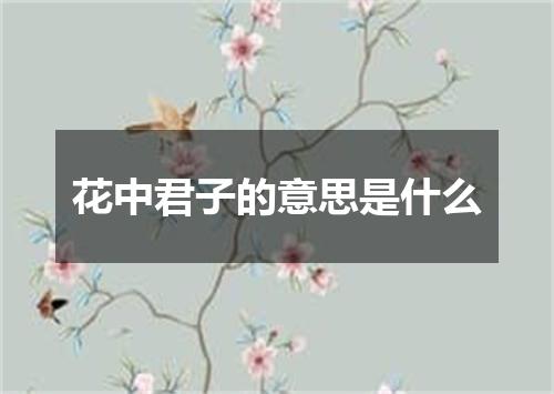 花中君子的意思是什么