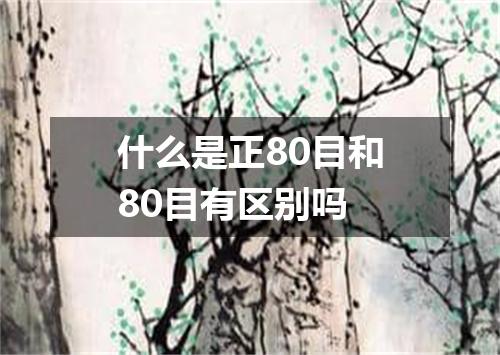 什么是正80目和80目有区别吗
