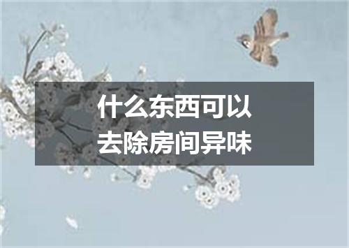 什么东西可以去除房间异味