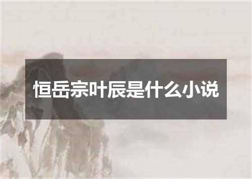 恒岳宗叶辰是什么小说