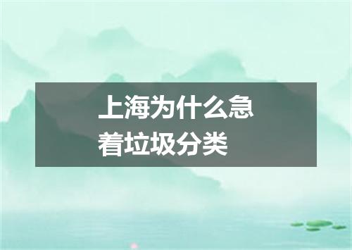 上海为什么急着垃圾分类