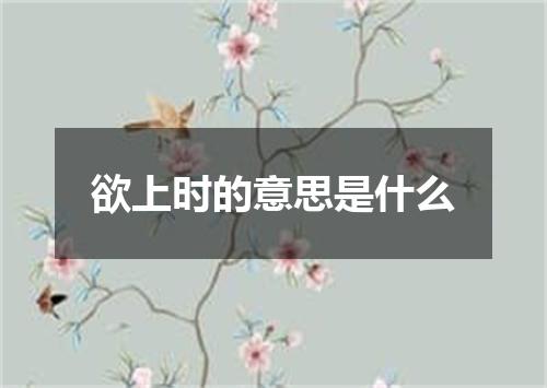 欲上时的意思是什么