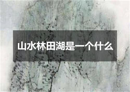 山水林田湖是一个什么