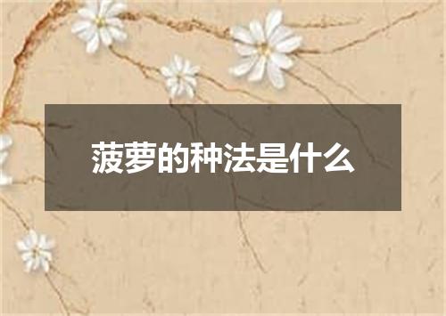 菠萝的种法是什么