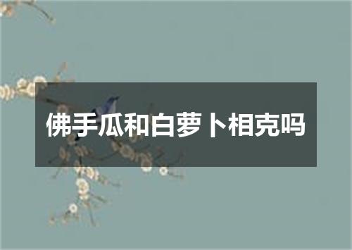 佛手瓜和白萝卜相克吗