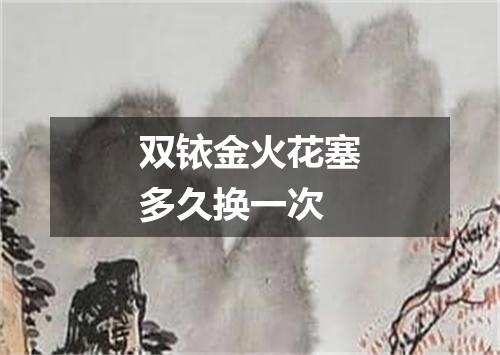 双铱金火花塞多久换一次