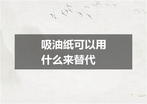 吸油纸可以用什么来替代