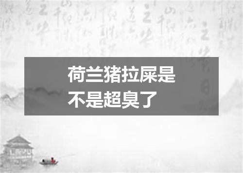 荷兰猪拉屎是不是超臭了