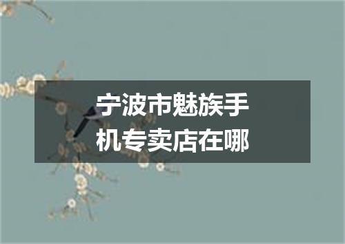 宁波市魅族手机专卖店在哪