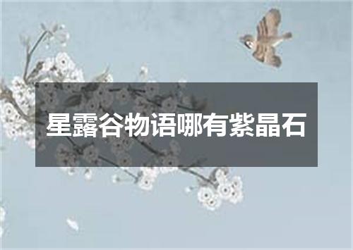 星露谷物语哪有紫晶石