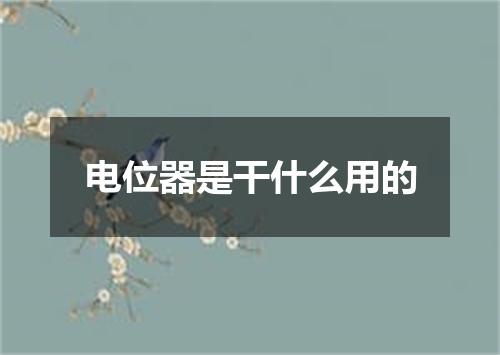 电位器是干什么用的