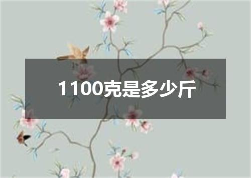 1100克是多少斤