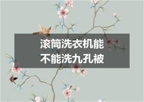 滚筒洗衣机能不能洗九孔被