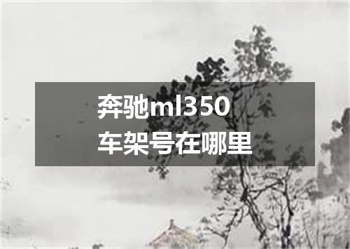 奔驰ml350车架号在哪里