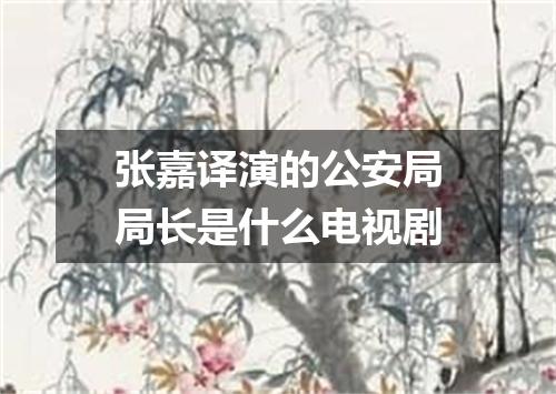 张嘉译演的公安局局长是什么电视剧